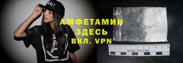 индика Алзамай