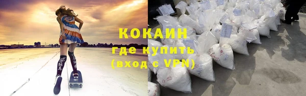 индика Алзамай