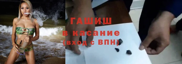 индика Алзамай