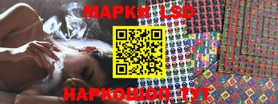 спиды Новодвинск