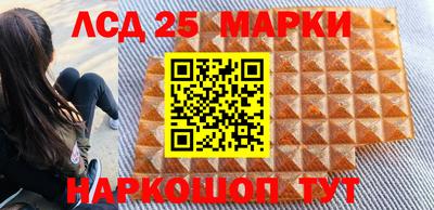 спиды Новодвинск
