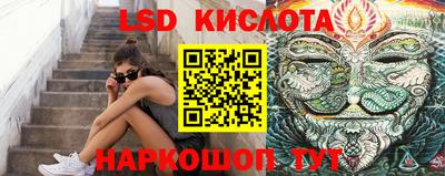 спиды Новодвинск