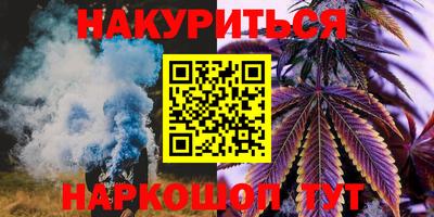 спиды Новодвинск