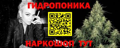 спиды Новодвинск