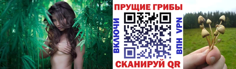 hydra вход где купить наркоту Усолье-Сибирское Галлюциногенные грибы GOLDEN TEACHER