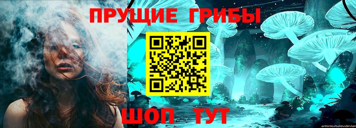 Псилоцибиновые грибы Psilocybe Усолье-Сибирское