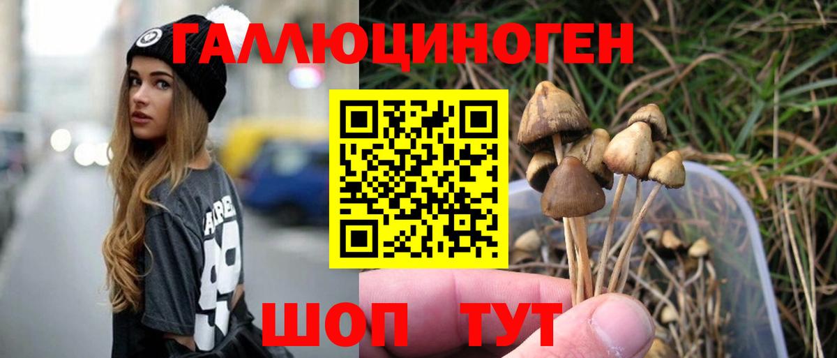 Псилоцибиновые грибы Psilocybine cubensis  Вход с VPN  Усолье-Сибирское 