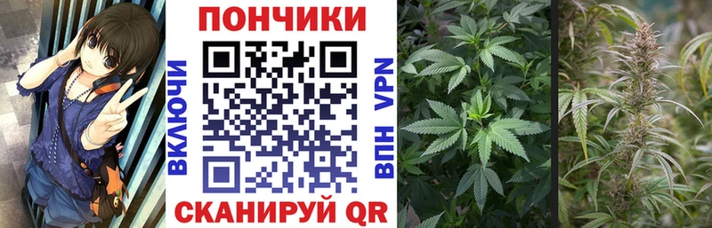 дарнет шоп  Усолье-Сибирское  нарко площадка наркотические препараты  МАРИХУАНА планчик 